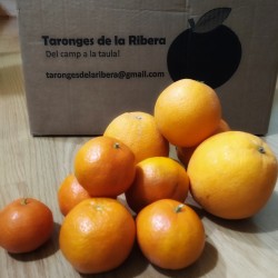 10 Kg mixta de naranjas y...