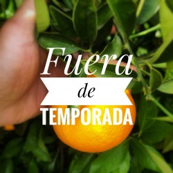 10 Kg Naranja Navel lane-late